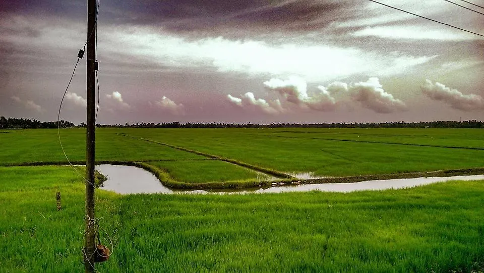 Golden Beach Home Stay Alappuzha Homestay